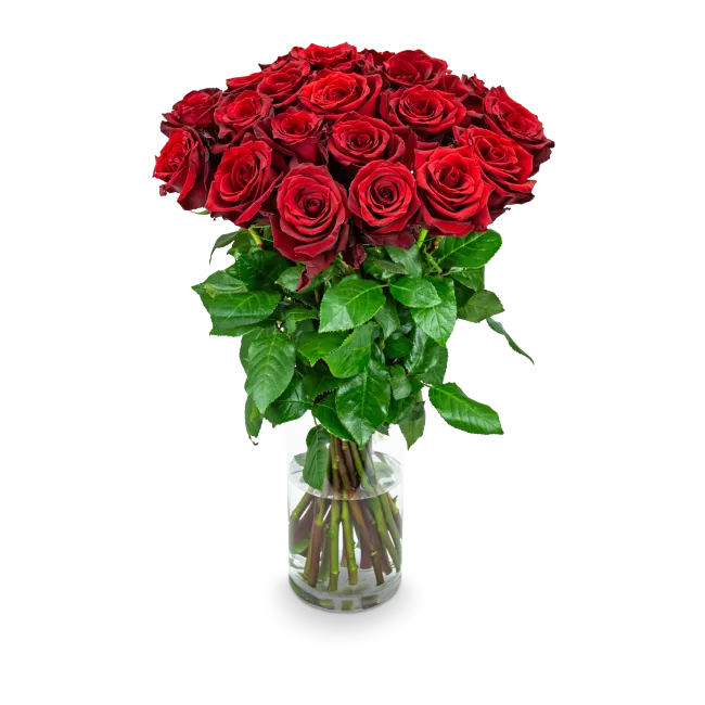 Kytice rudých růží